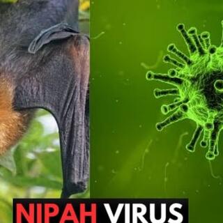 <a href="/truyen-thong" title="Truyền thông" rel="dofollow">TRUYỀN THÔNG GIÁO DỤC SỨC KHỎE</a>